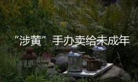 “涉黄”手办卖给未成年人：应对玩具分级管理丨快评