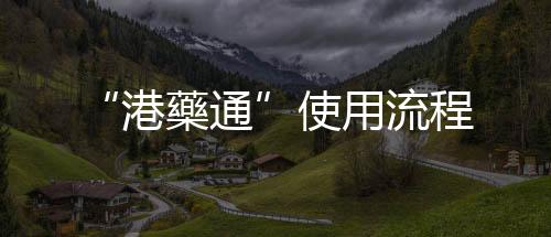根据保险制度进行赔偿