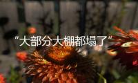 “大部分大棚都塌了”
�，湖北农业冻雨后迎大考