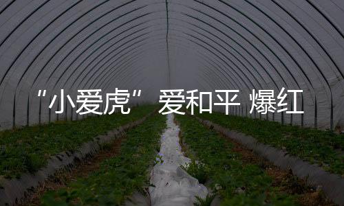 创新融入时代元素”