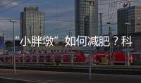“小胖墩”如何减肥	？科学减重看这里