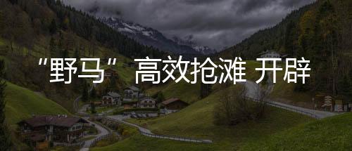 野马陆军两栖合成旅