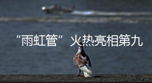 第届的上海消费者漏水痛点
