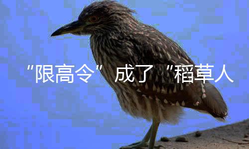 限高令业内人士表示