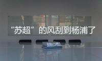 “苏超”的风刮到杨浦了！这场足球赛新星闪耀