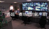 “苏超”赛场用的国产草，到底有多能打？