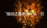 “赌鸽还是赛鸽”续
：犯罪事实不清，不起诉组织者