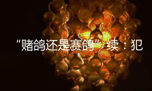 赌鸽不符合起诉条件