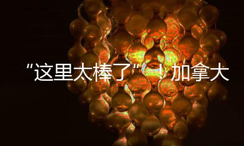 这种反差感也令人惊叹