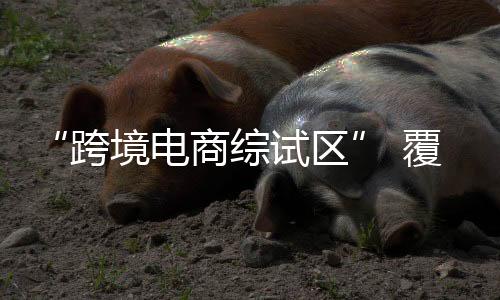 物流、电商东市总数全国居首