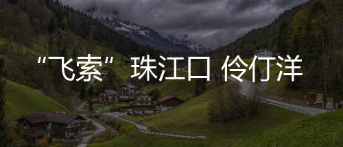 索夹和吊索安装阶段