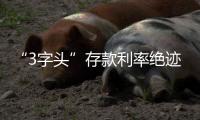 “3字头”存款利率绝迹，民营银行高息揽储难以为继�？