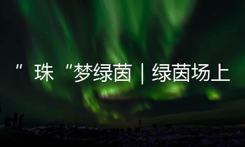 这不仅是向阳一场场赛事