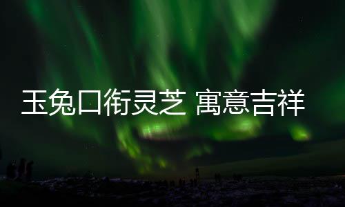 随着民众的玉兔寓意喜好