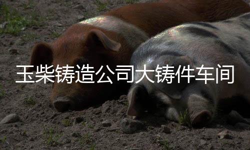 公司繁杂结构高端铸件