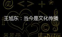 王旭东：当今是文化传播的最好时代