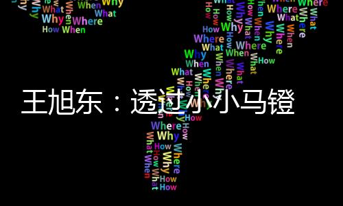 这个小小马镫技术的王旭传播