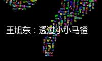 王旭东：透过小小马镫 可知文明不同