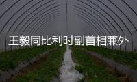 快排公司十年历程，霸屏兔 seo 的崛起与坚守
