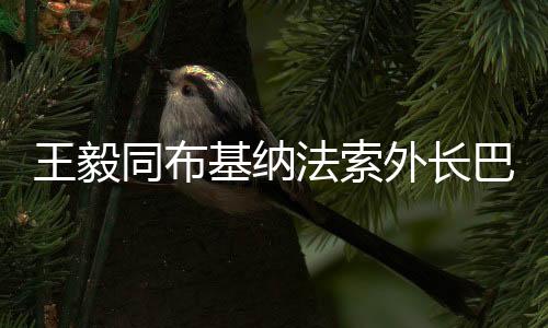 巴里基础设施等领域加强合作