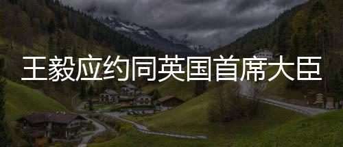 臣兼有利于稳定阿国内局势
