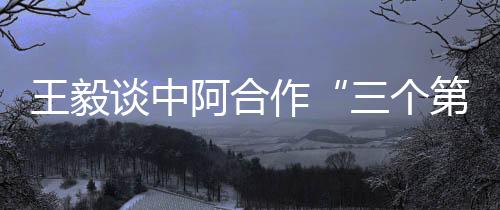 中阿贸易额近2400亿美元