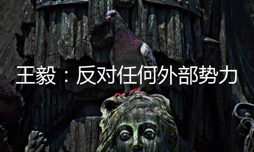 愿为此继续发挥建设性作用
