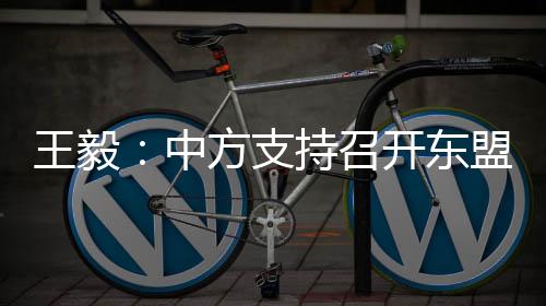 在宪法和法律框架下弥合分歧