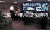 王毅：中非共举多边旗帜，发出正义之声