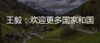 王毅：欢迎更多国家和国际组织加入“支持非洲发展伙伴倡议”