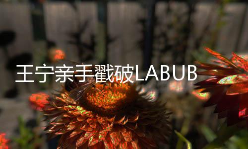 除受经营指标影响外