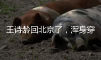 王诗龄回北京了	，浑身穿搭超10万	，又胖了却很自信�
，王岳伦接机
