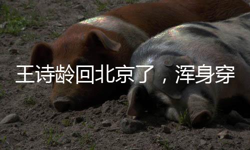 国外的王诗审美和国内不一样