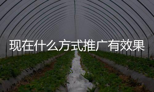 把图文做的推广生动精美一些