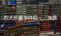 烈犬伤童事件后，“失焦”的多地捕狗风波