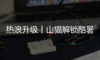 热浪升级丨山猫解锁酷暑施工新姿势！