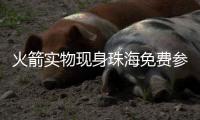 火箭实物现身珠海免费参观	！下半年或首飞，成为我国首枚可回收运载火箭