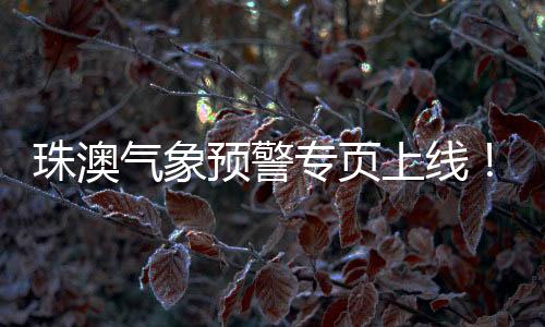 跨境雷电等实时气象预警信号