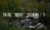 珠海“瞪羚”加速跑！57家企业上榜，新一代信息技术“领衔”