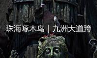 快排公司十年历程，霸屏兔 seo 的崛起与坚守