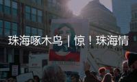 珠海啄木鸟｜惊！珠海情侣南路附近海面发现“油污”？真相竟是……