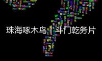 珠海啄木鸟｜斗门乾务片区排水管建设工程项目缺口资金已到位	，力争今年底完工
