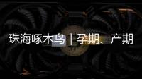珠海啄木鸟｜孕期
、产期、哺乳期不可辞退  勇敢向“三期”侵权说“不”！