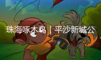 珠海啄木鸟｜平沙新城公交出行难，如何解决？回应来了