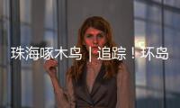 珠海啄木鸟｜追踪！环岛车辆“打架”
，珠海交警启用新方案→