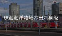 珠海海洋牧场养出刺身级美味	！10万斤章红鱼抢“鲜”上市