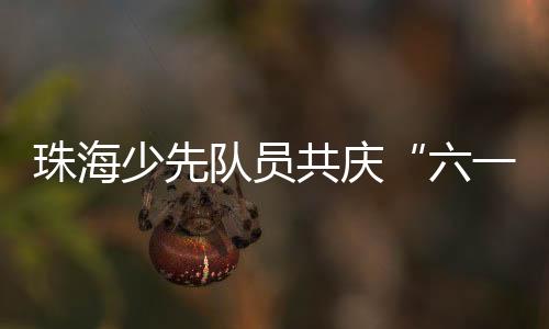 插上区青少年宫少工委协办