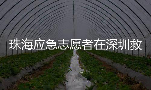 伤外整个救援过程规范高效