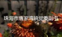 珠海市唐家湾镇党委副书记、镇长钟华接受纪律审查和监察调查