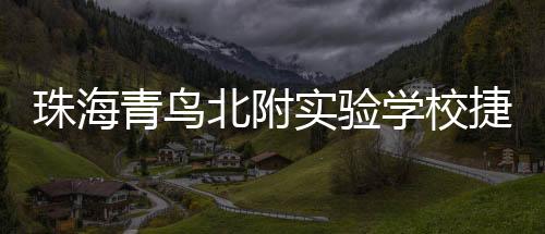 青鸟更是北附变革心的事业